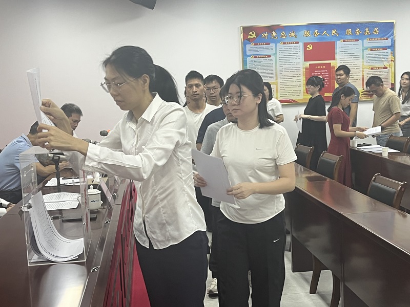 无记名投票.jpg